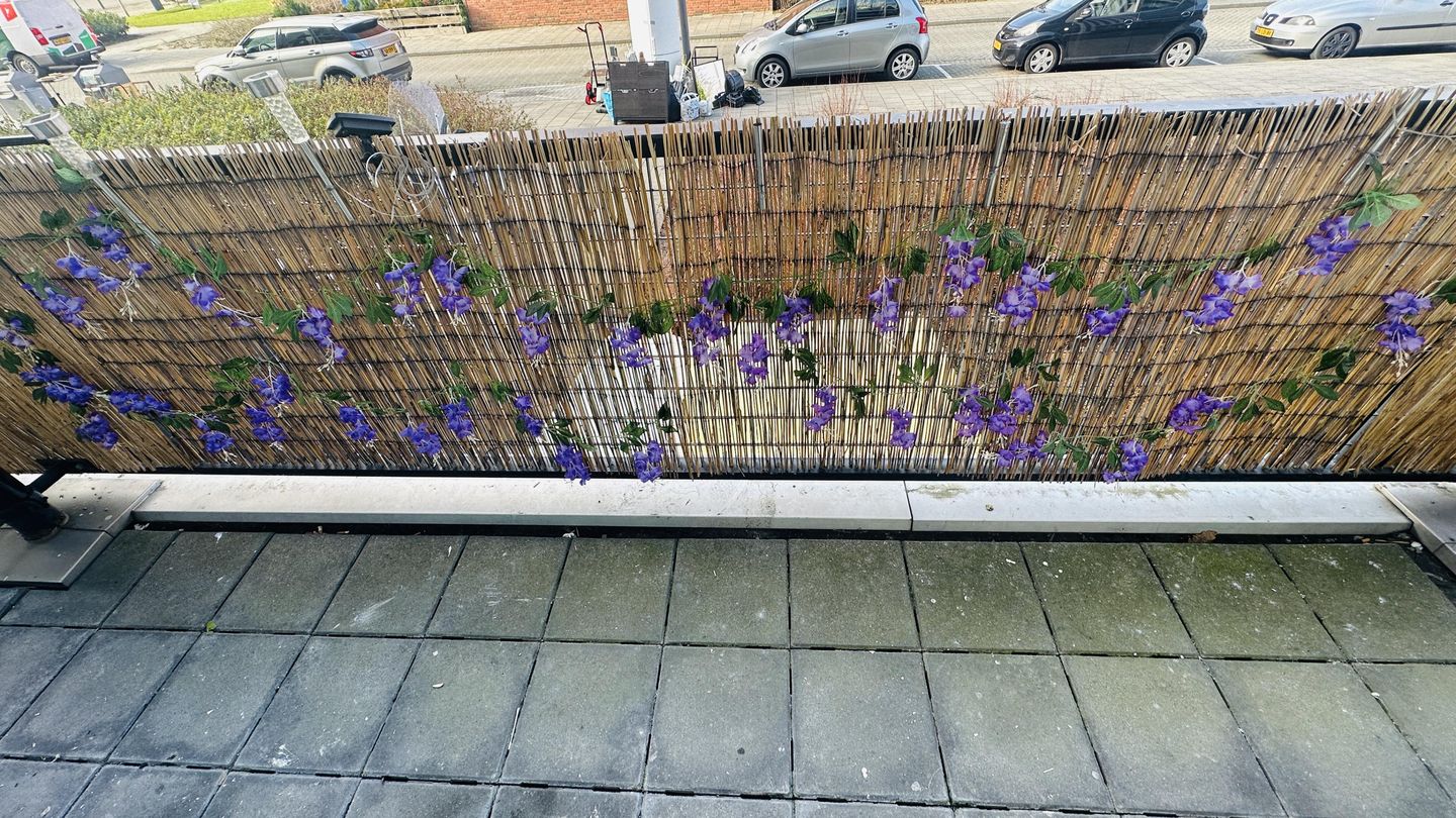 Foto 4 van Rilland Bathstraat 92