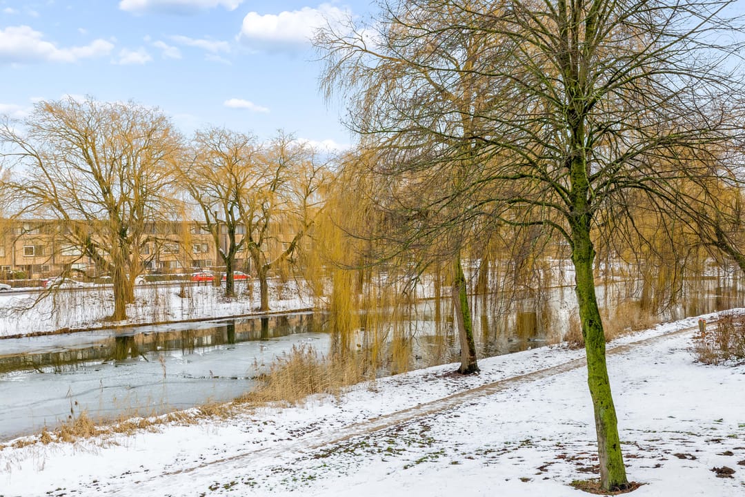 Foto 16 van Watercipresstraat 70