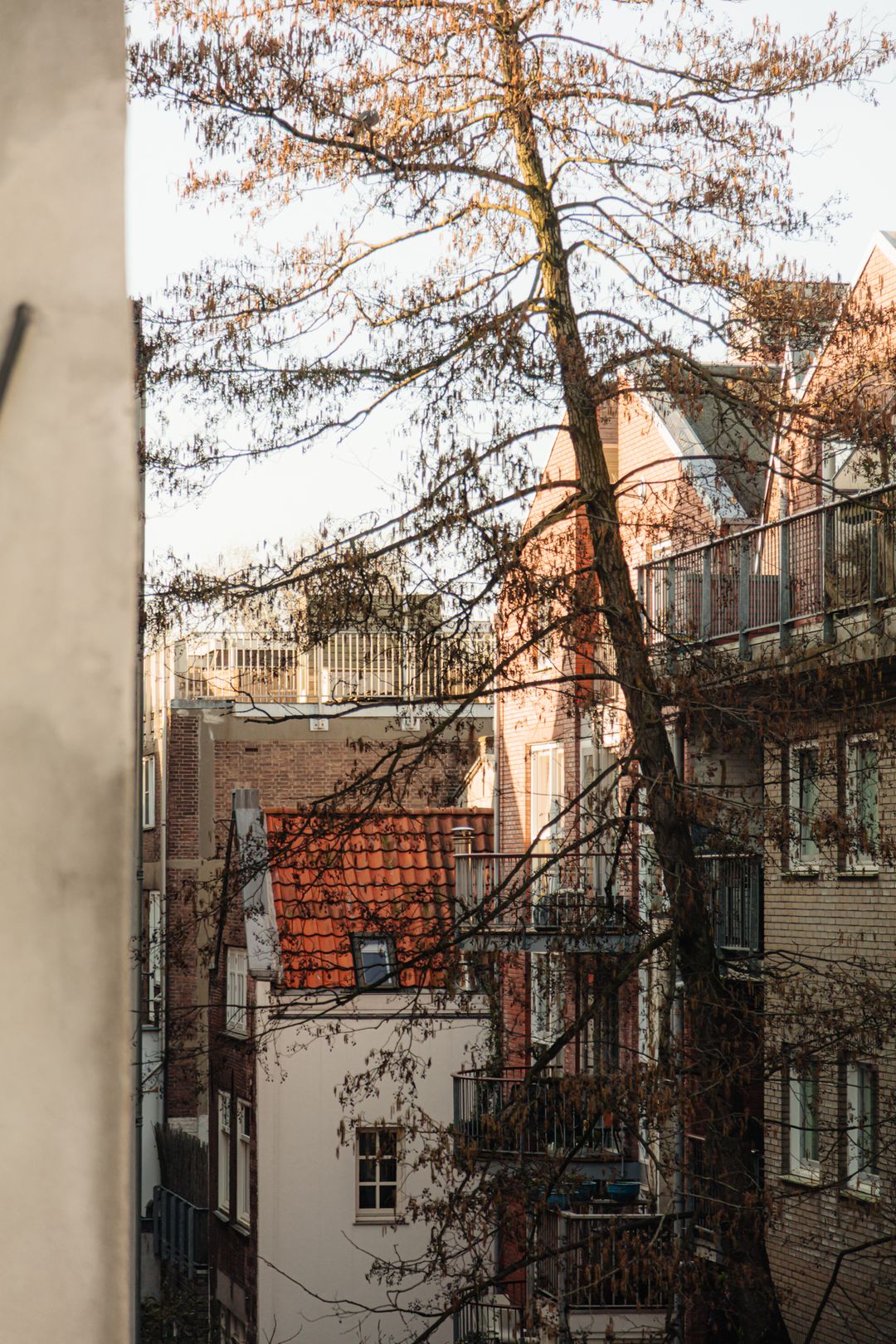 Characteristic double upper house with canal view in Haarlemmerbuurt-West — 27