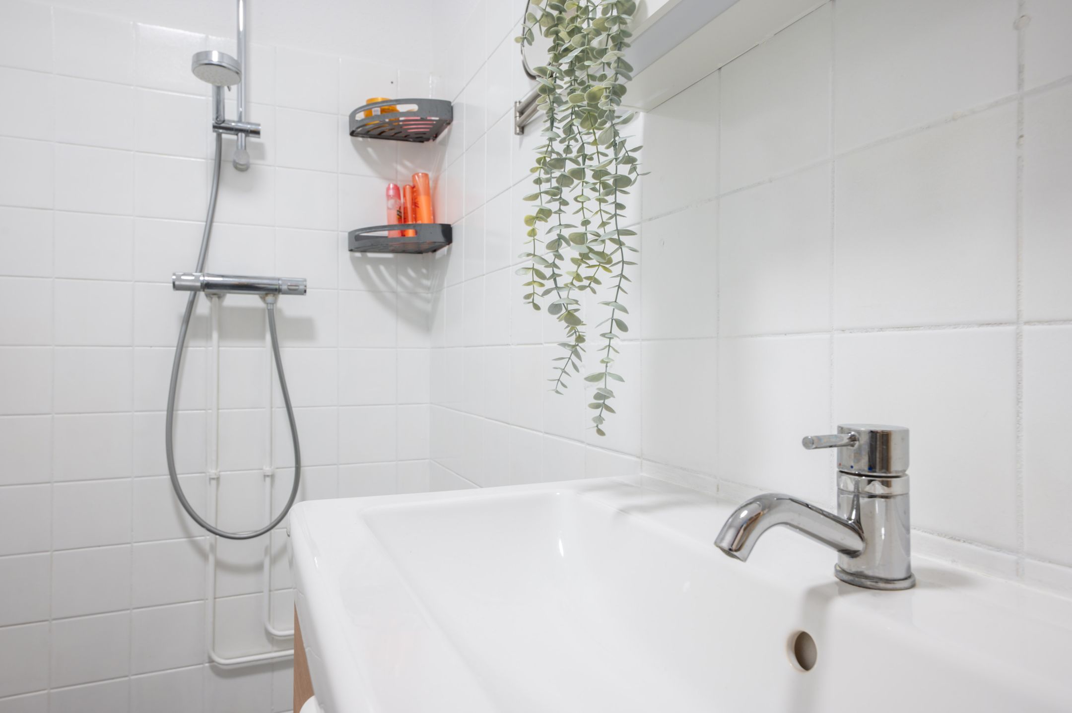Charming starter home with deep garden in green Schothorst district — 24