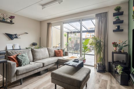 Boterbloem 9 tertiary image