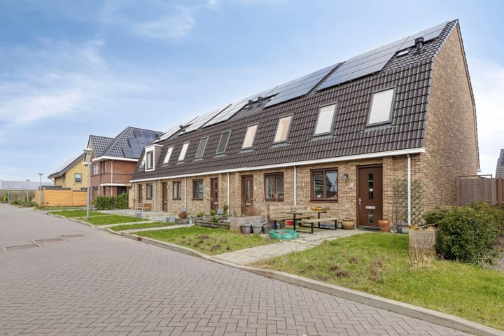 Foto 5 van Boterbloem 9