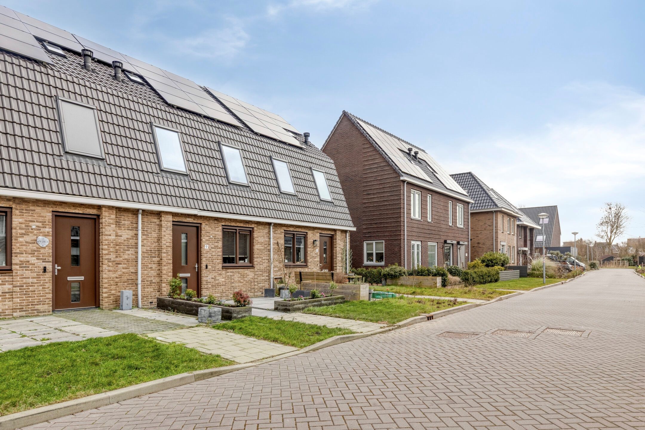 Foto 6 van Boterbloem 9