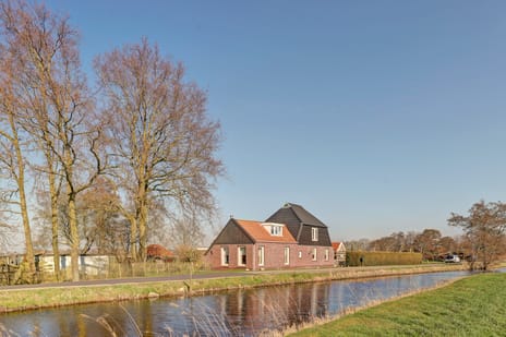 Bandsloot 25 tertiary image