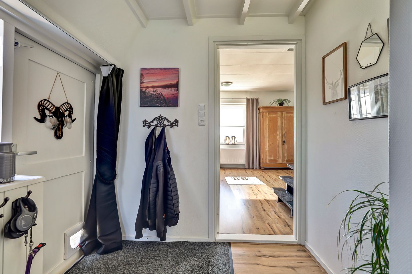 Photo 14 of Bandsloot 25