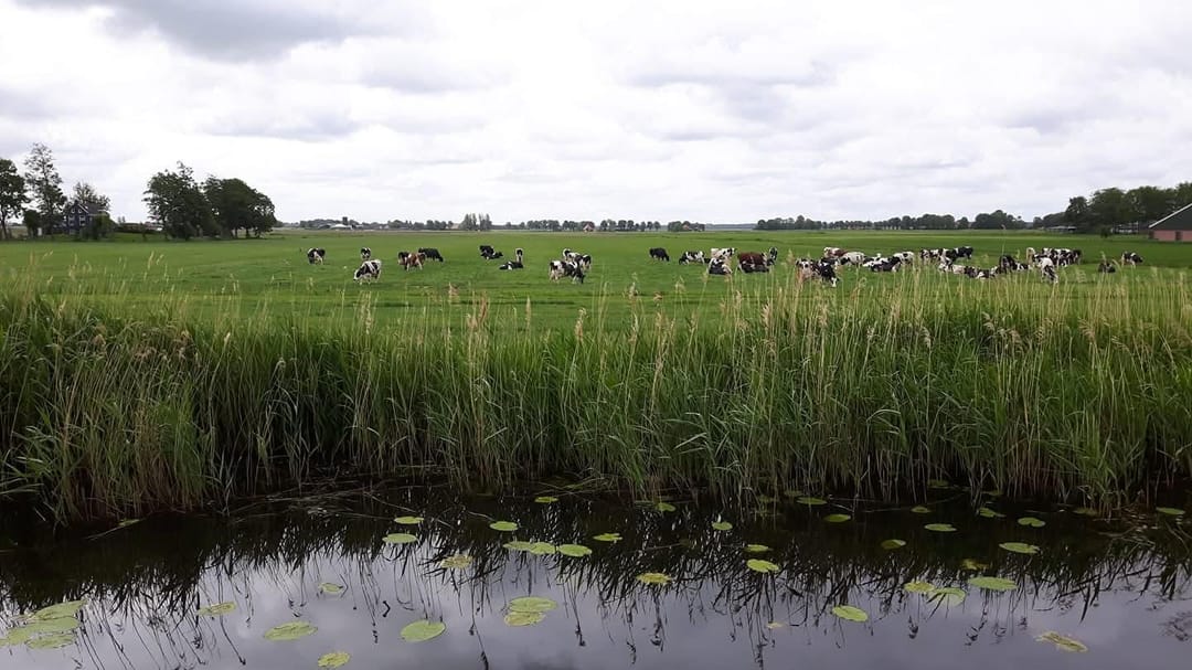 Photo 41 of Bandsloot 25