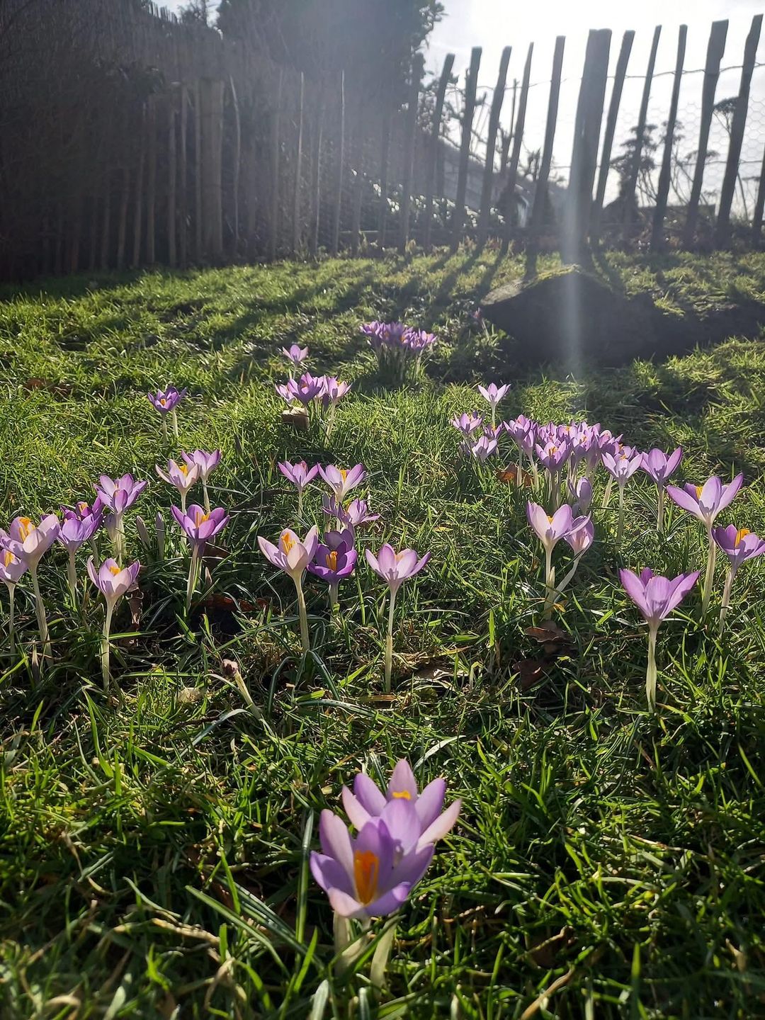 Photo 47 of Bandsloot 25