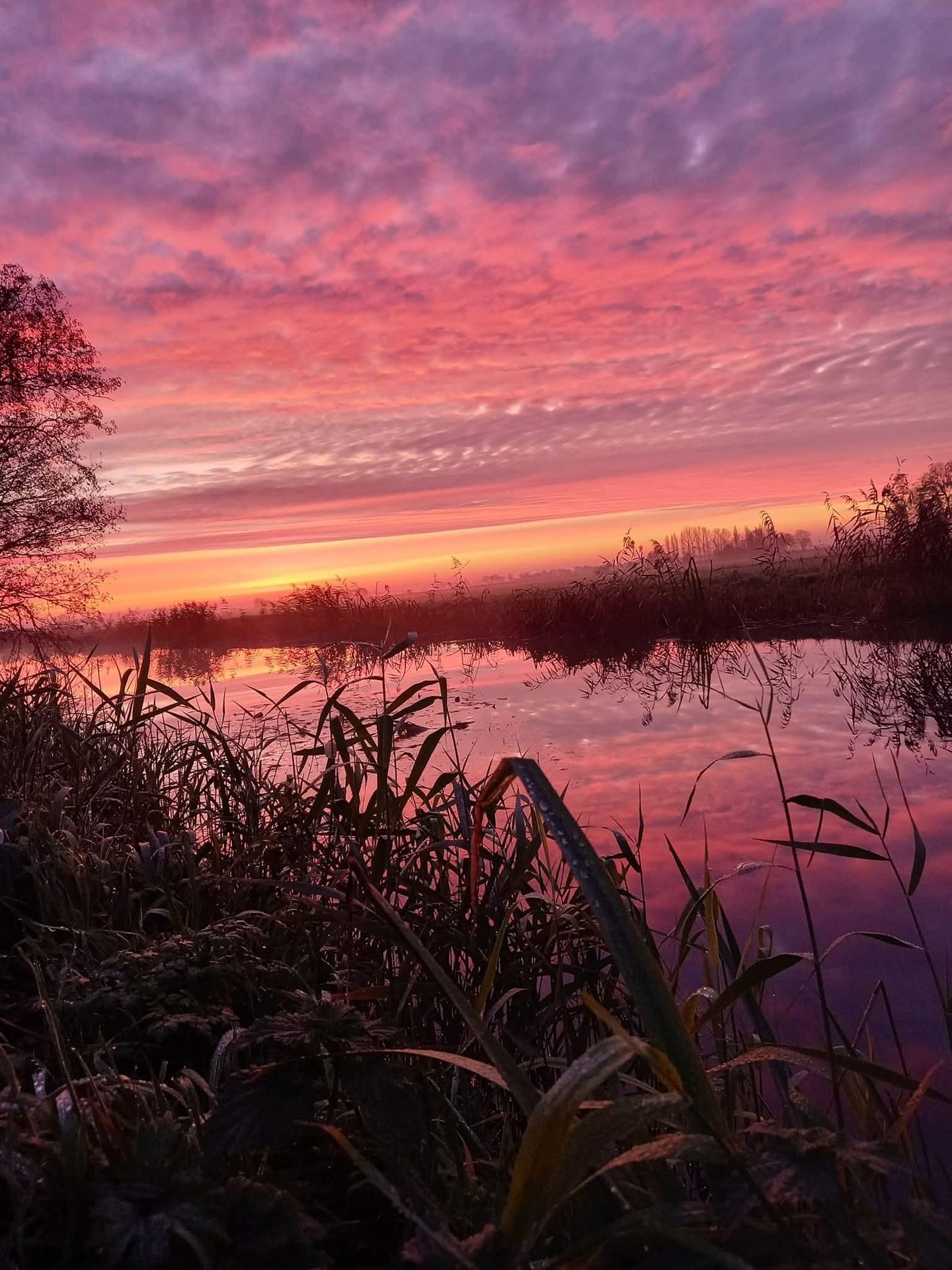 Photo 50 of Bandsloot 25