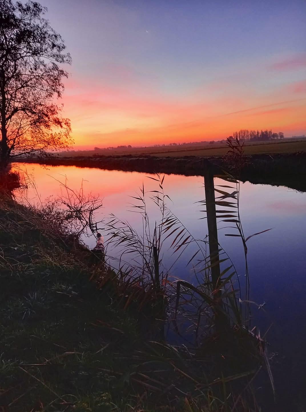 Photo 51 of Bandsloot 25