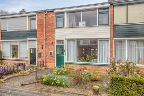 undefined main image