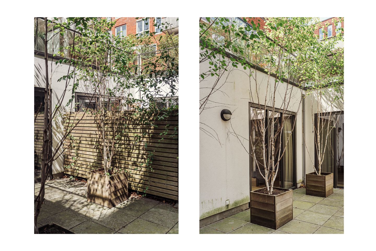 Photo 29 of Revaleiland 406