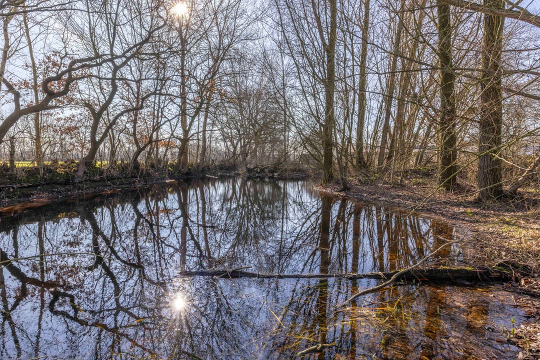Photo 86 of Skieppedrifte 9-A
