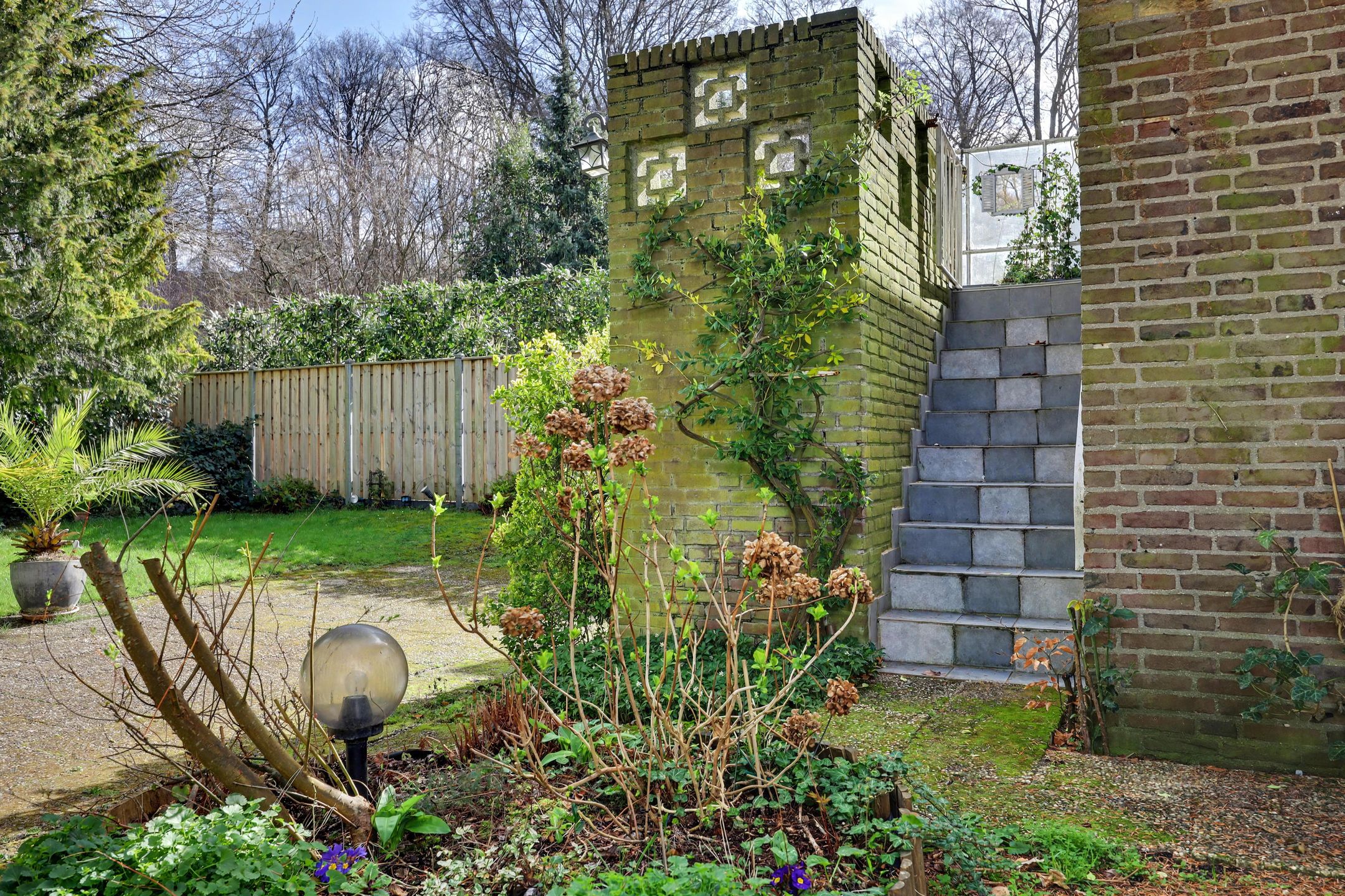 Foto 48 van Willem II-laan 12