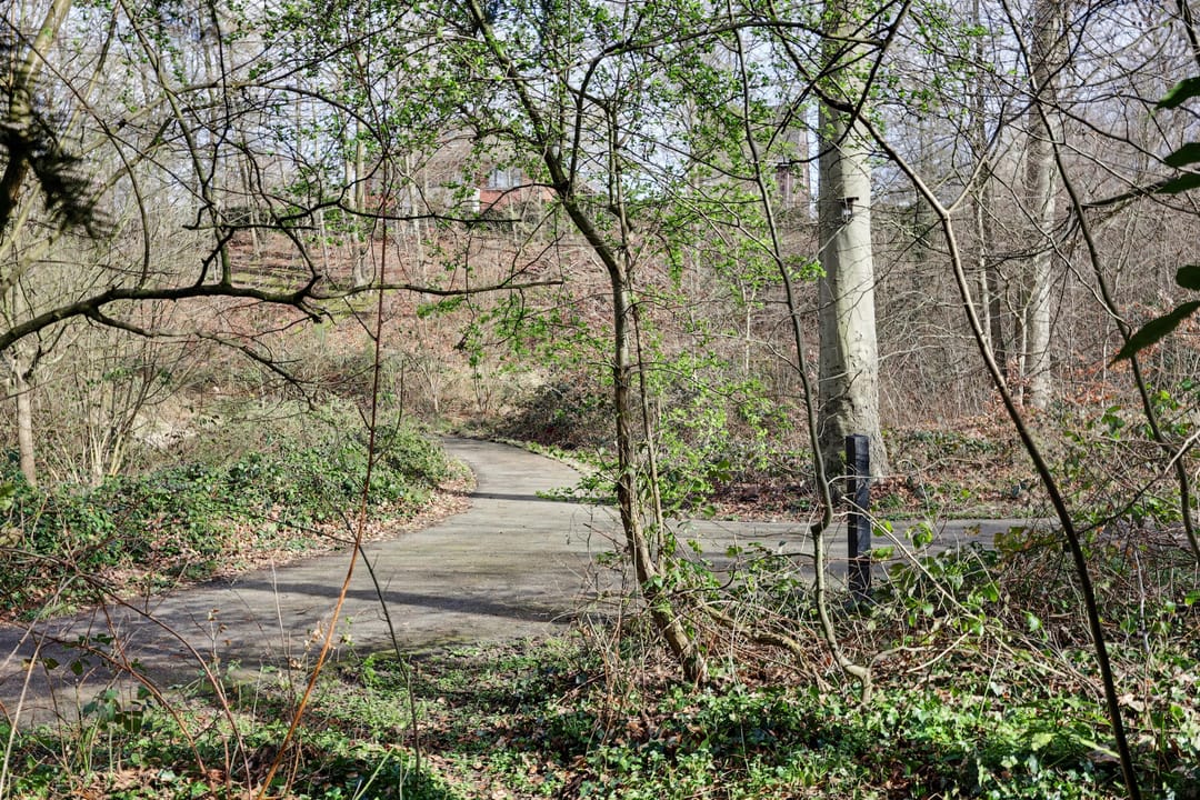 Foto 43 van Willem II-laan 12