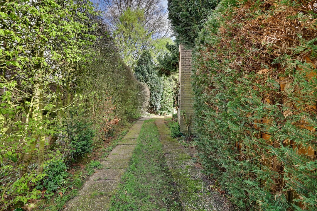 Foto 52 van Willem II-laan 12