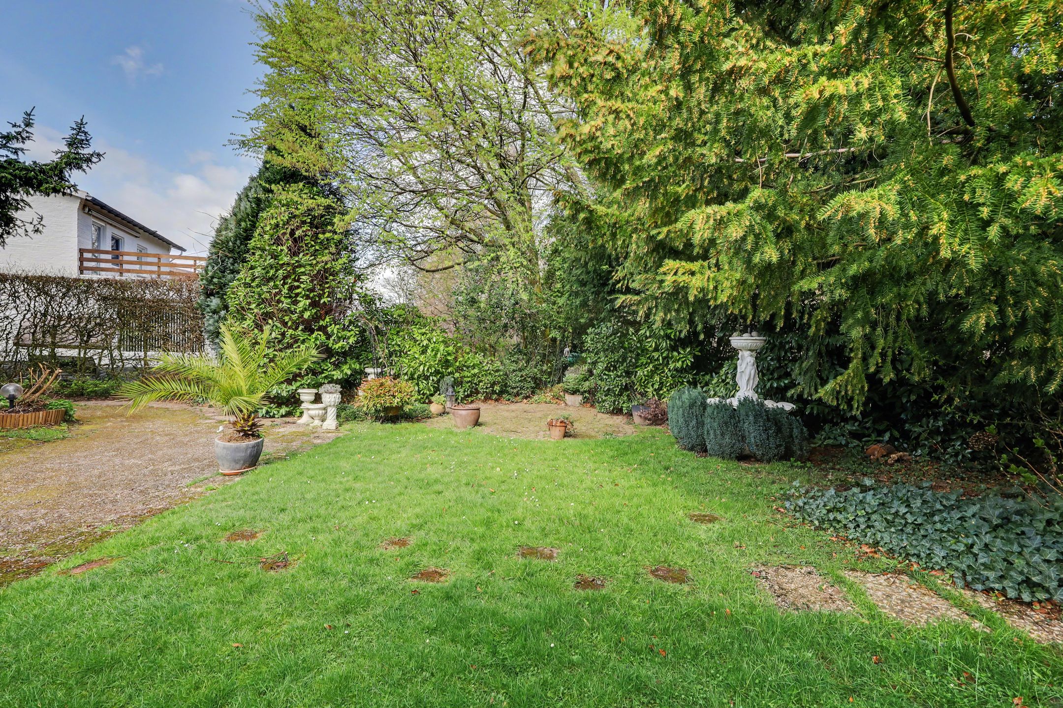 Foto 45 van Willem II-laan 12