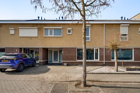 undefined main image