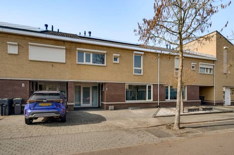 undefined main image