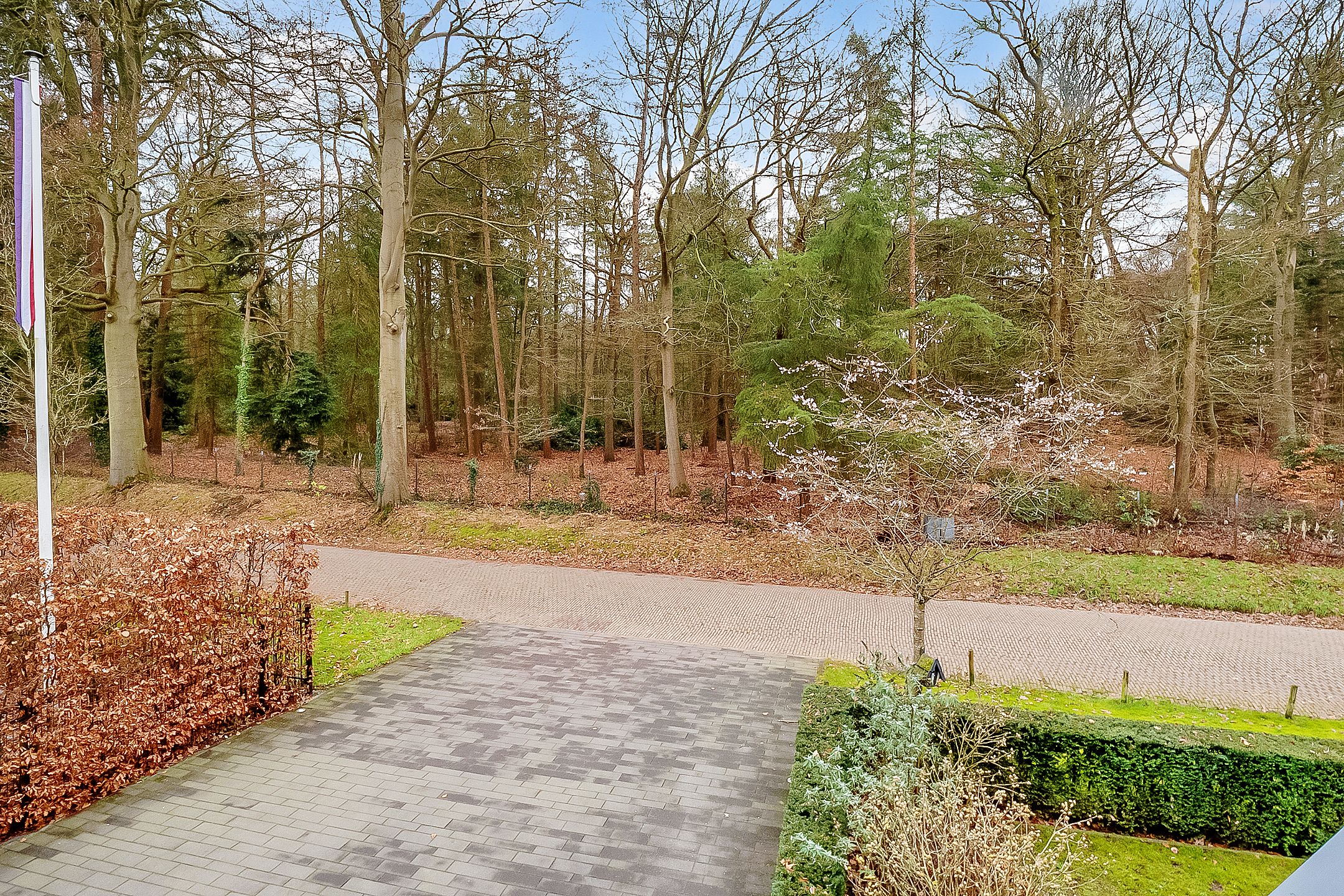 Foto 66 van Oude Rijksstraatweg 2-C