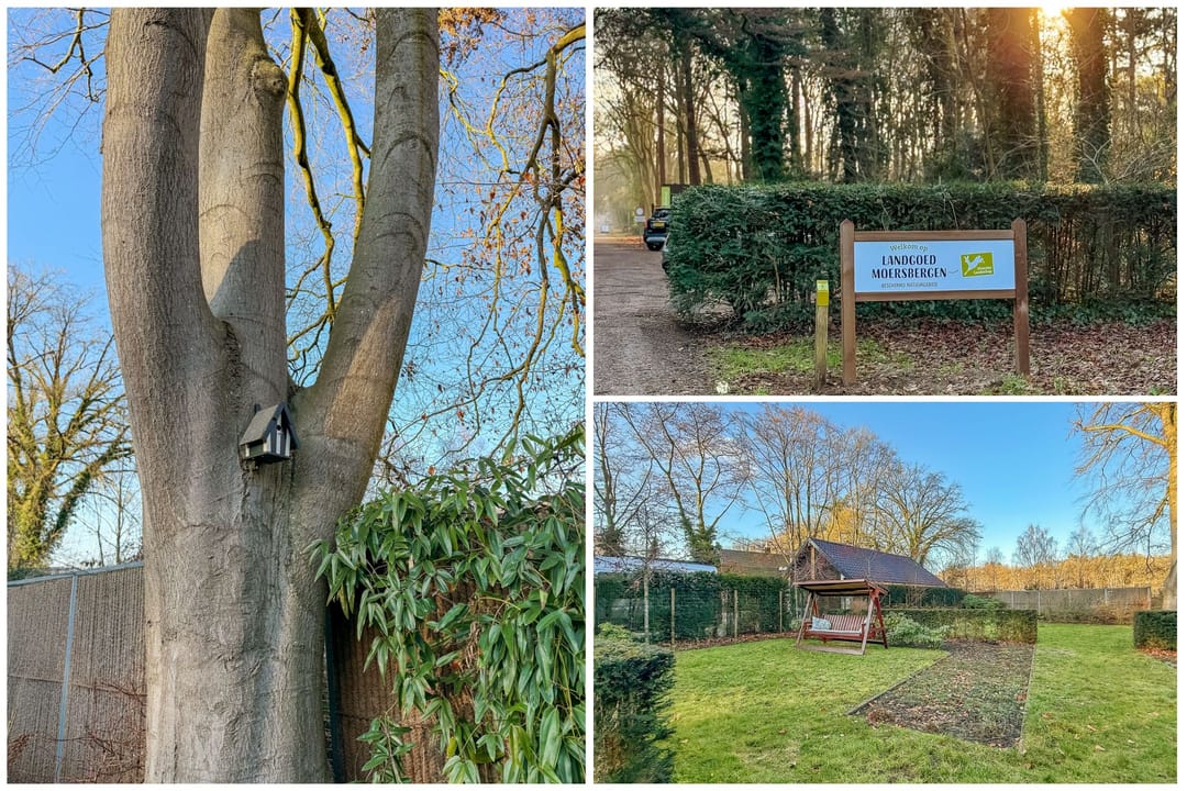 Foto 86 van Oude Rijksstraatweg 2-C