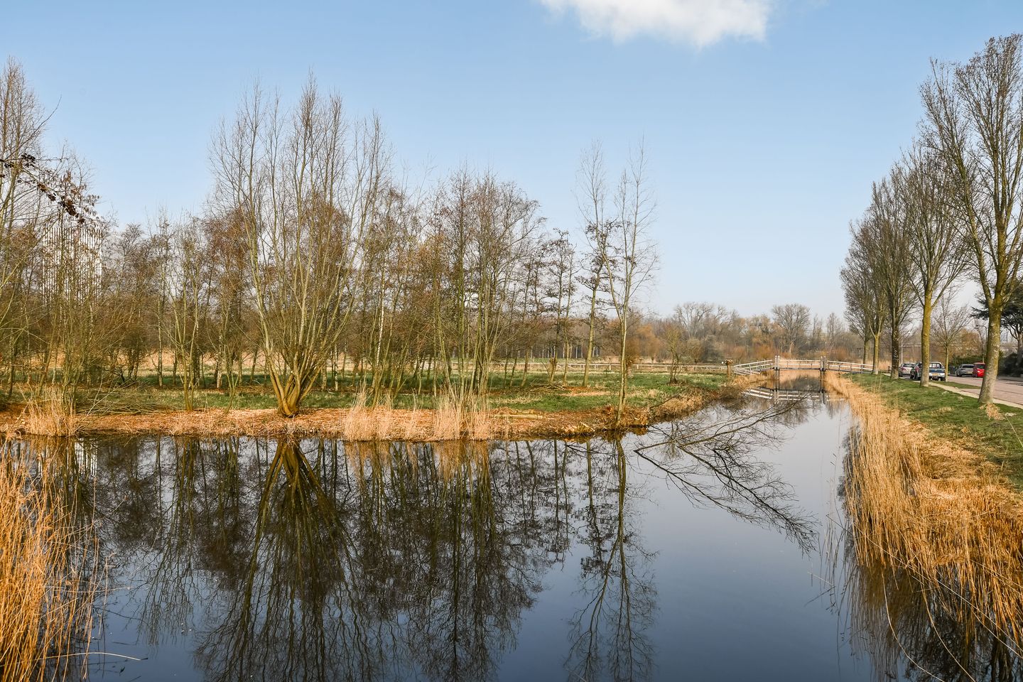 Photo 34 of Pampuszigt 48