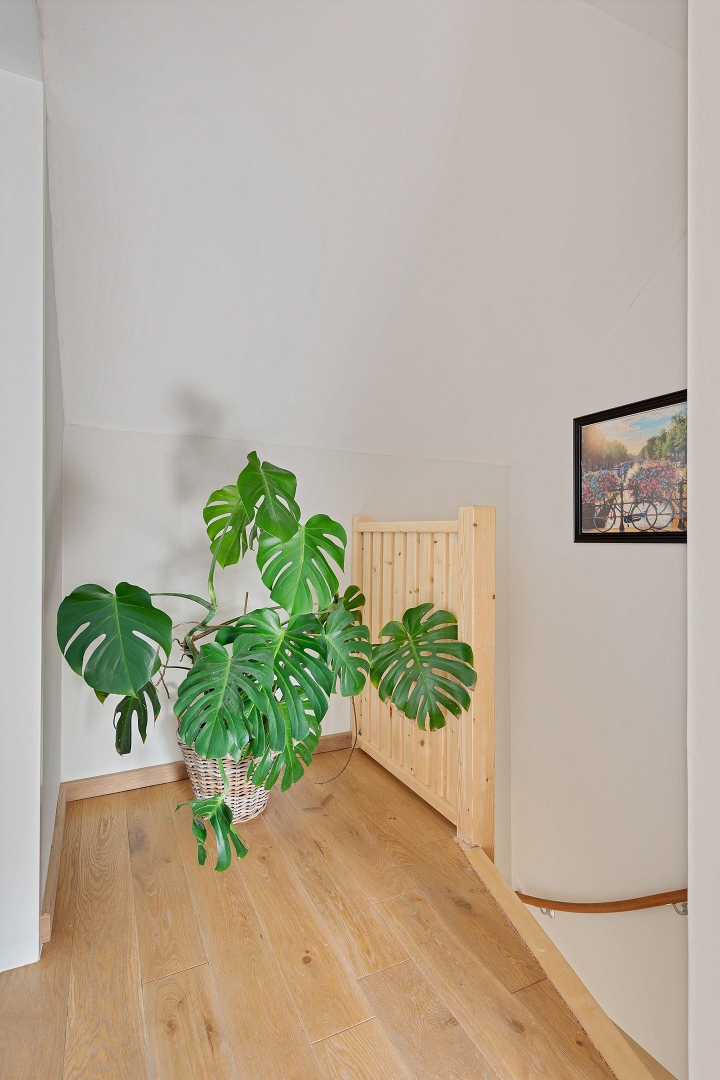 Photo 33 of van Limburg Stirumstraat 16