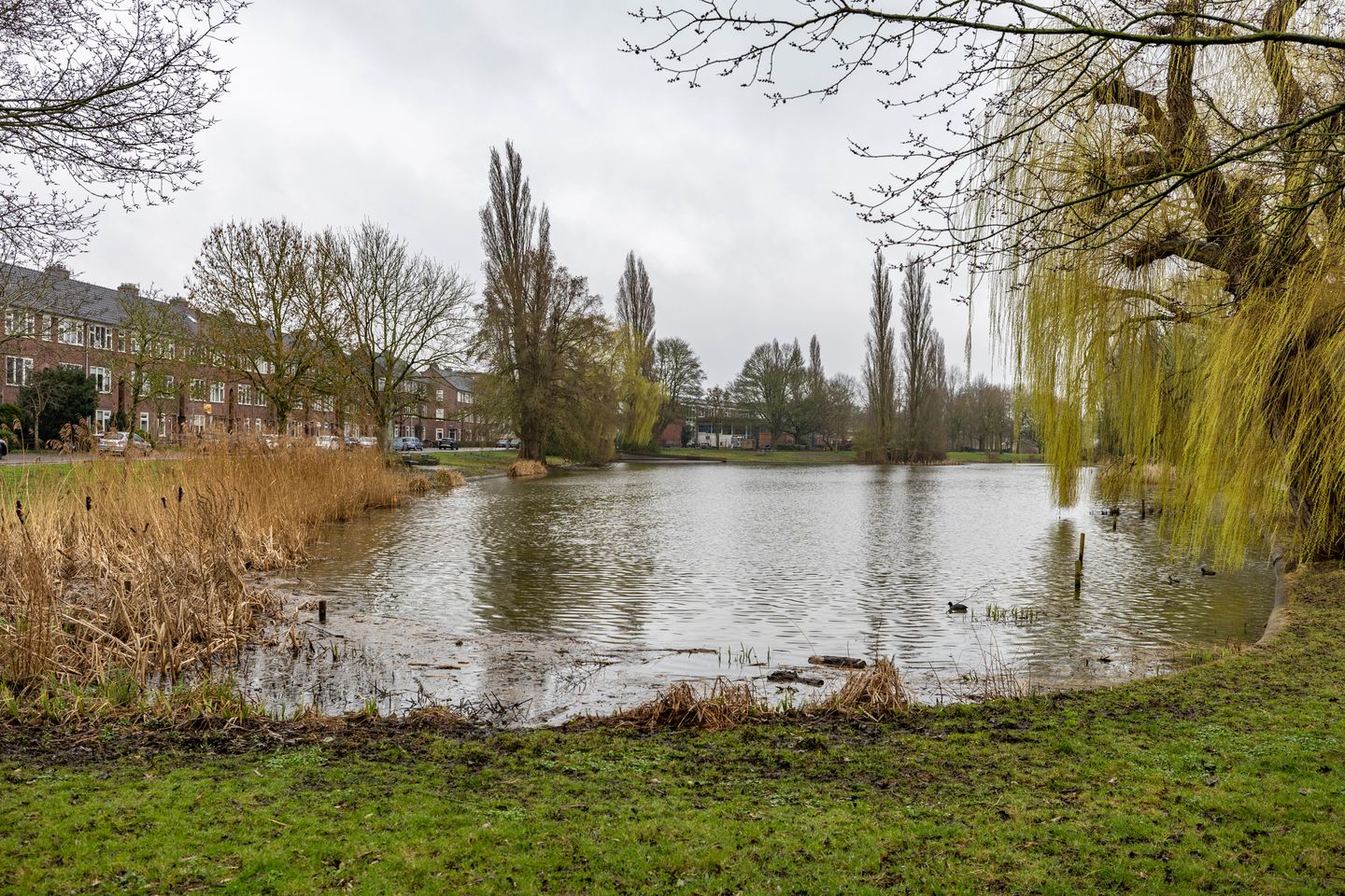 Foto 34 van Eerste Spoorstraat 19