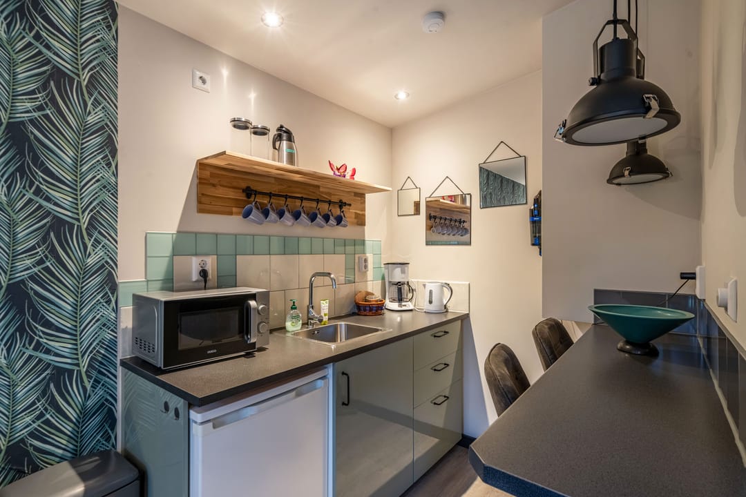 Historic Villa with Studio and B&B in Warmenhuizen — 73