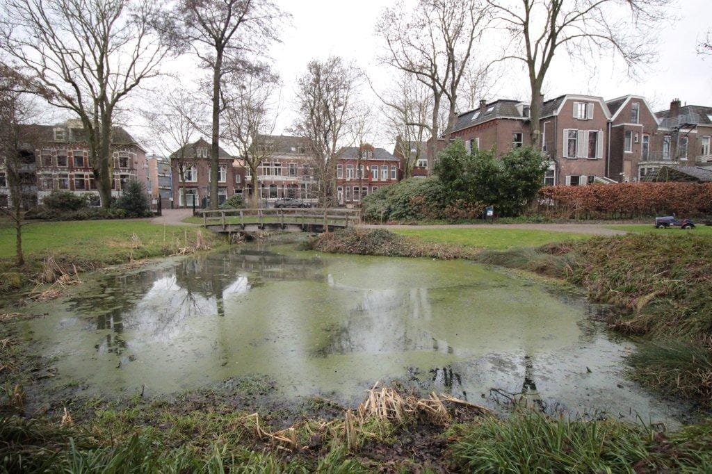 Foto 37 van Zuidersingel 75