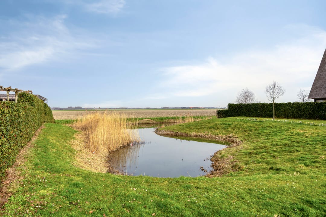 Foto 38 van Bovenas 4