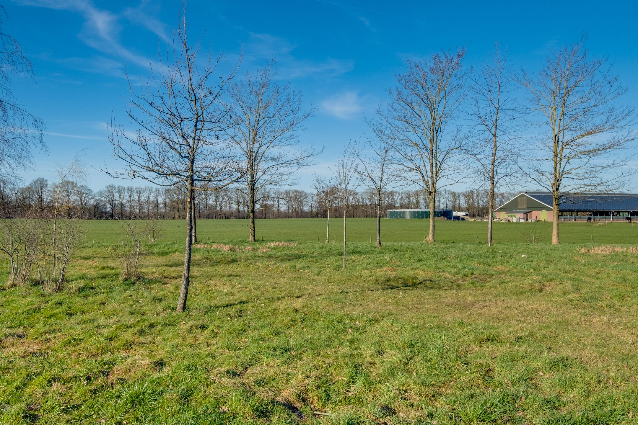 Foto 24 van Het Schoneveld 15