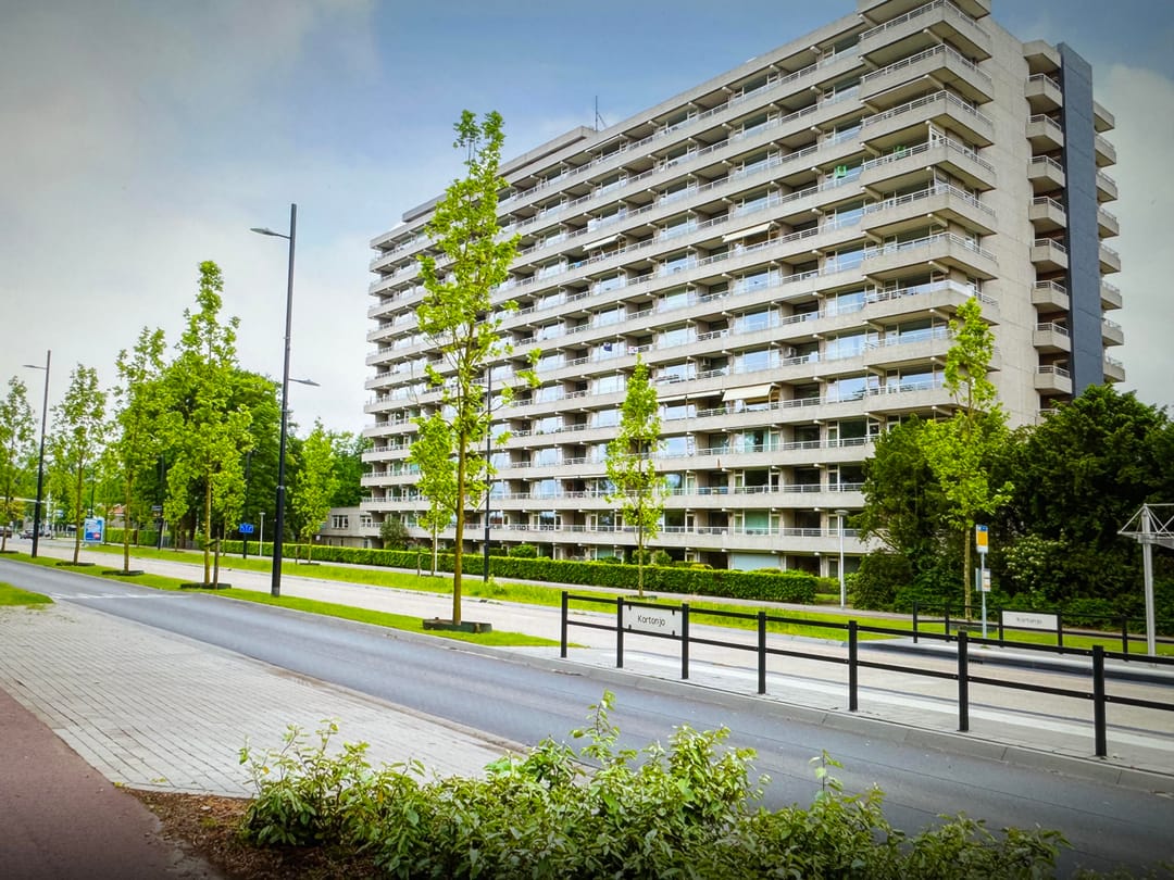 A rental house advertisment