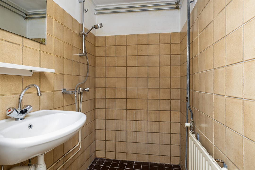 Photo 8 of Midden 67