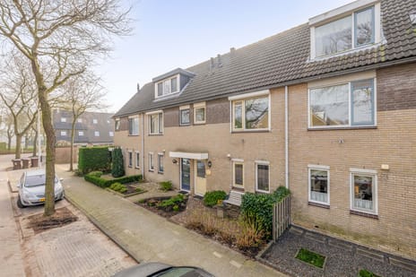 undefined main image