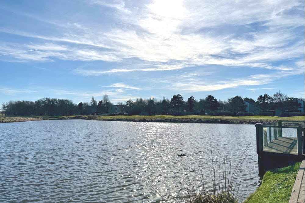 Foto 8 van Ooghduyne 302