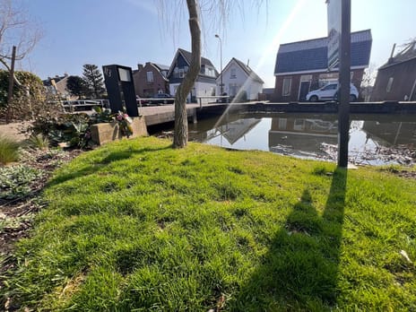 Doctor van Noortstraat 113 secondary image