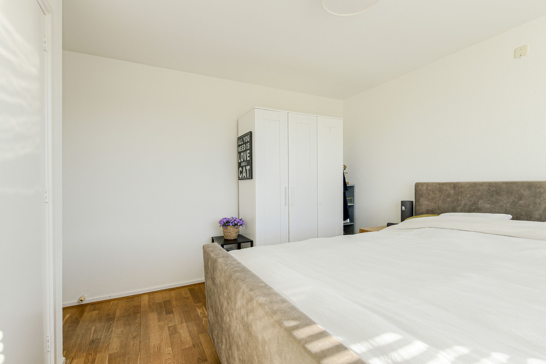 Photo 30 of Molenstraat 20