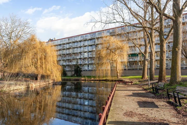 Jacques Urlusplantsoen 175