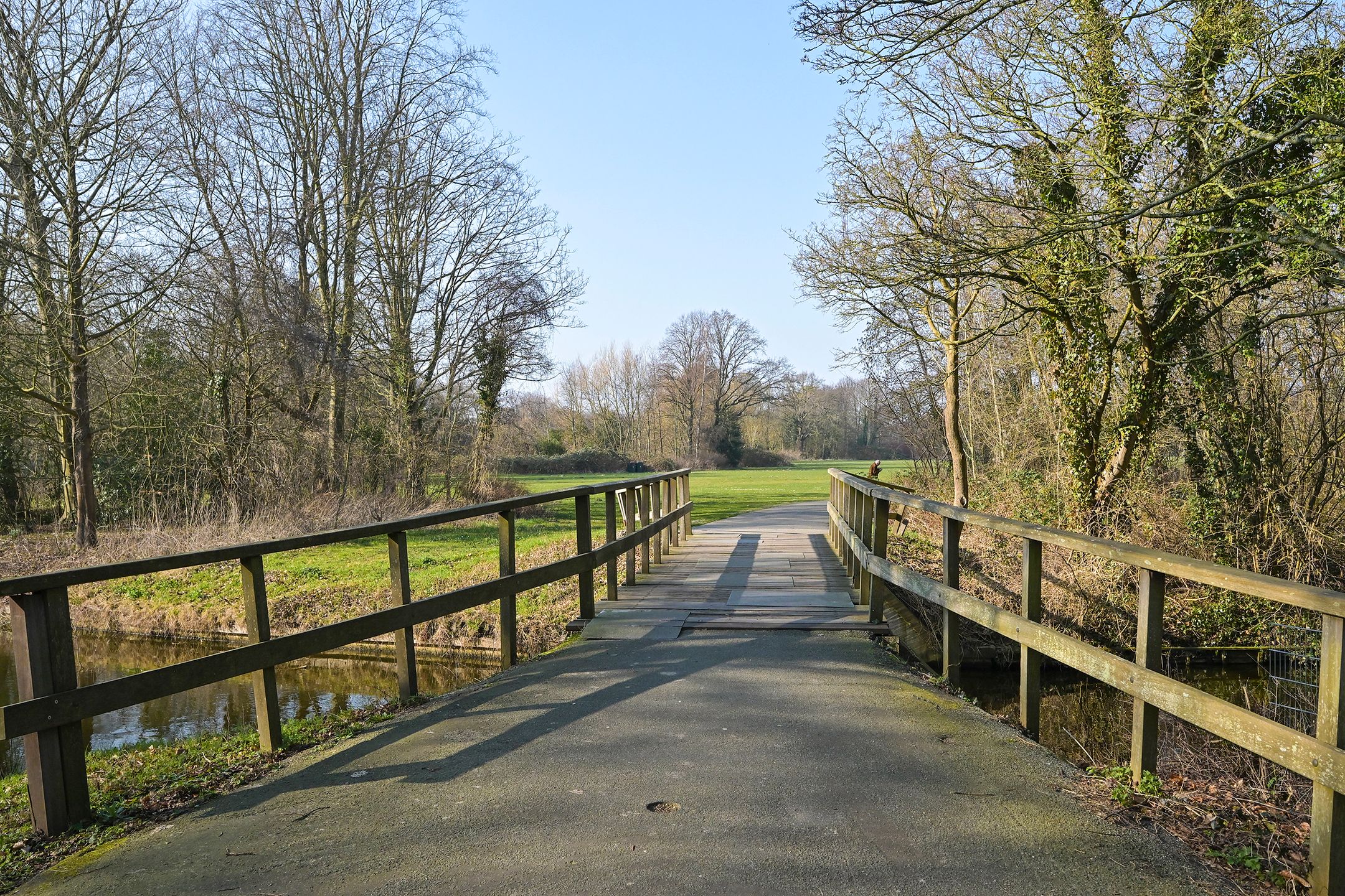 Photo 57 of Nieuwe Parklaan 14