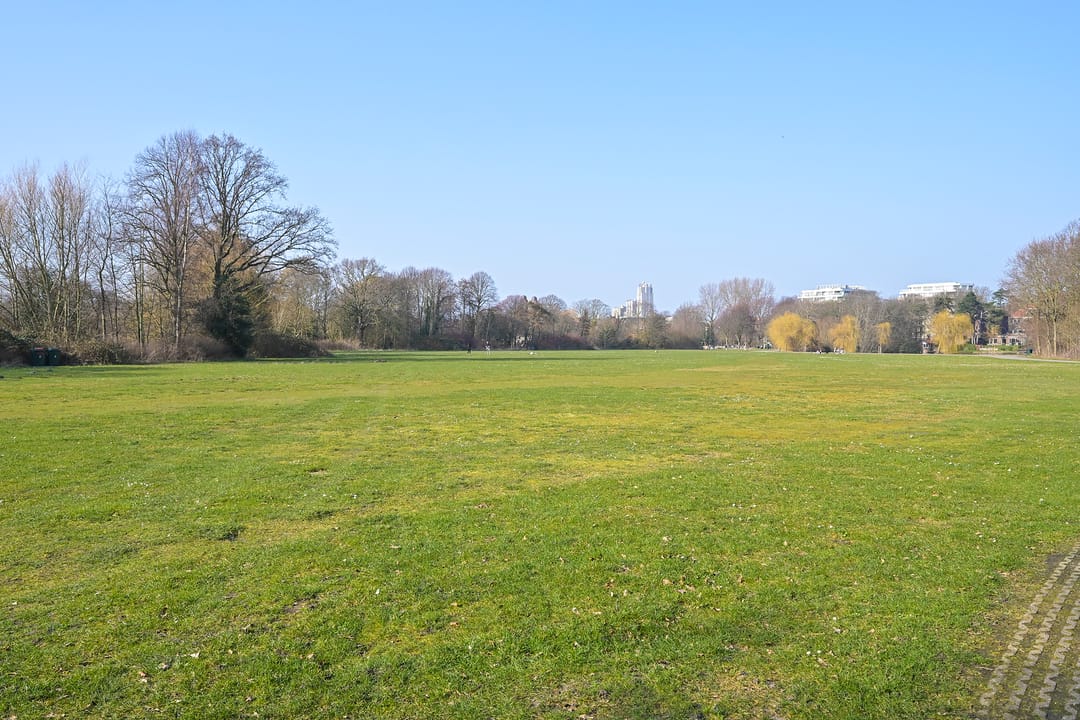 Photo 58 of Nieuwe Parklaan 14