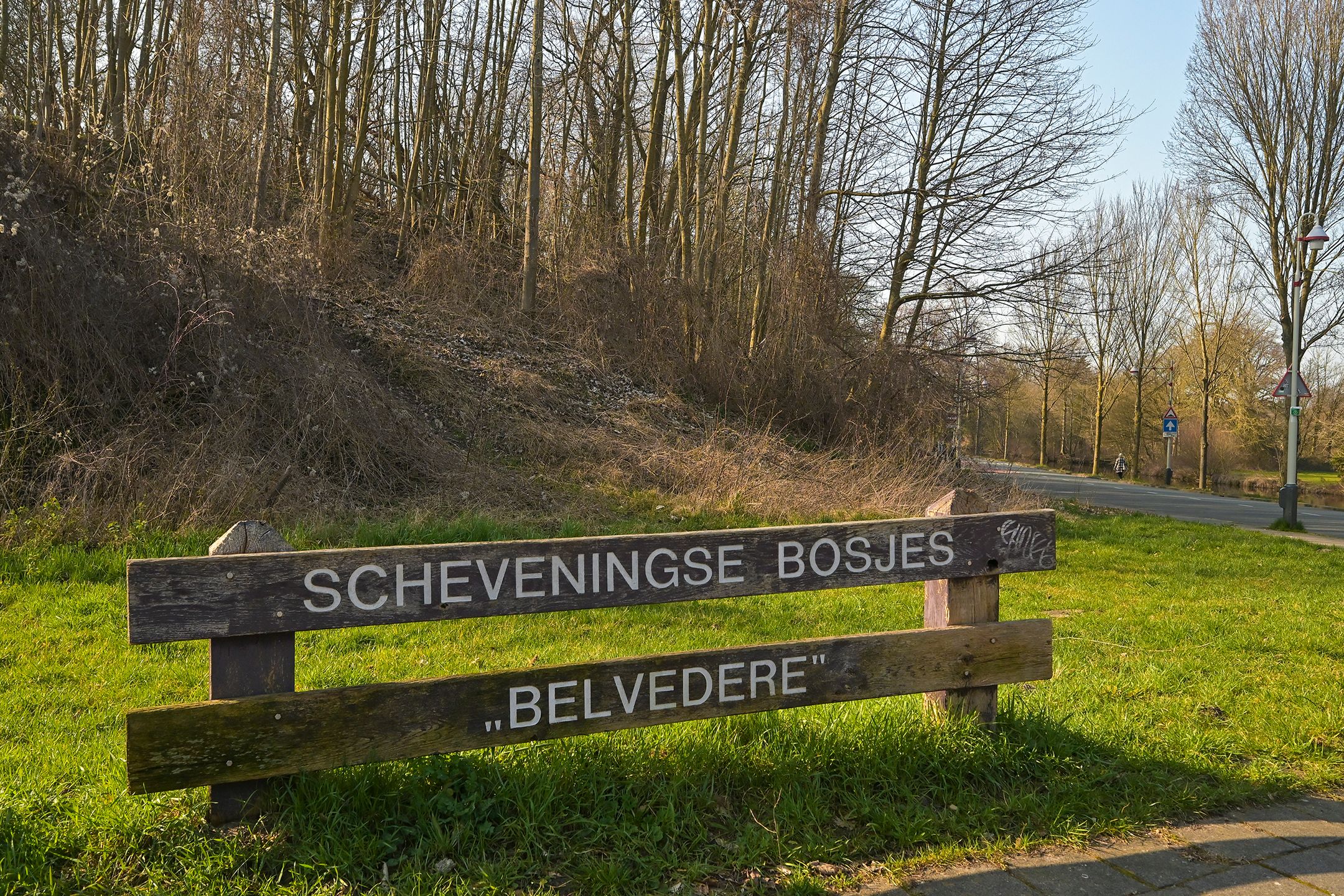 Photo 60 of Nieuwe Parklaan 14