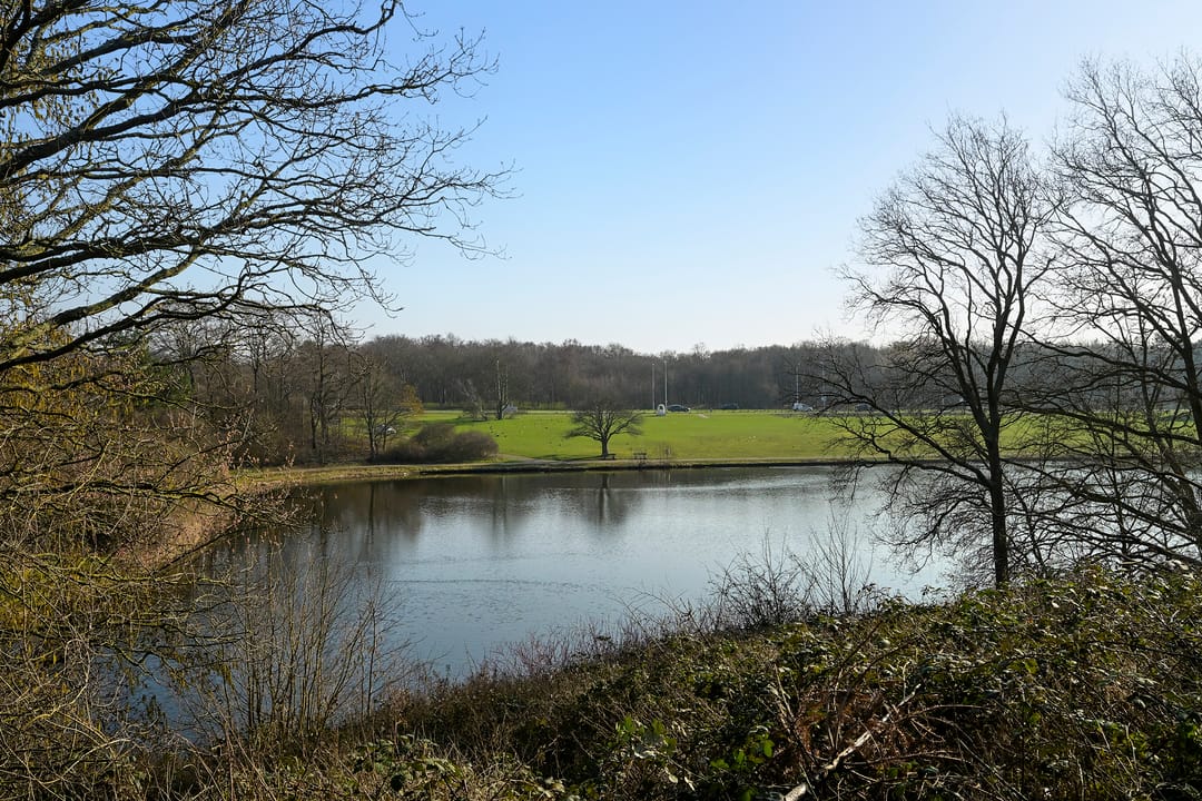 Photo 61 of Nieuwe Parklaan 14