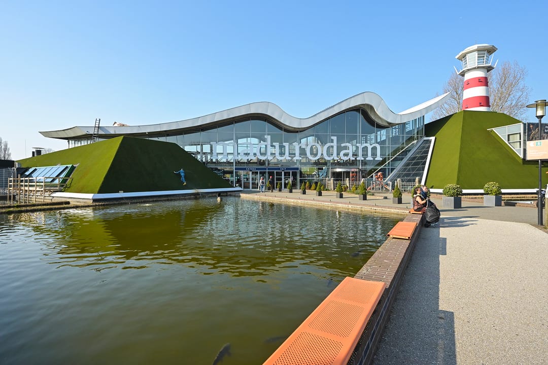 Photo 62 of Nieuwe Parklaan 14