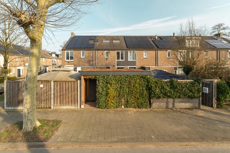 undefined main image