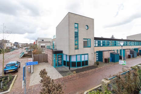 undefined main image