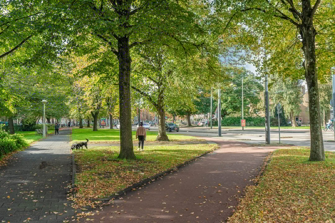 Foto 43 van Vechtstraat 65-2