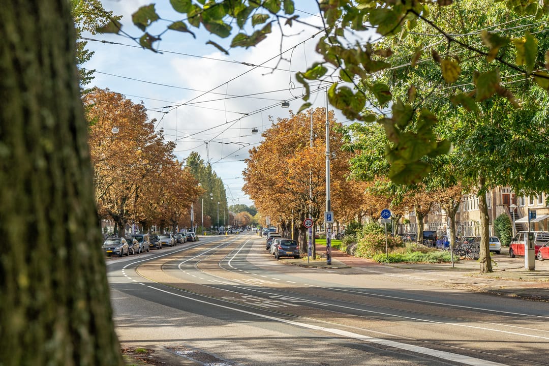 Foto 46 van Vechtstraat 65-2