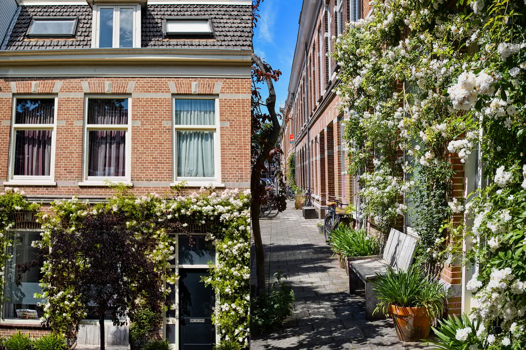 Foto 41 van Schermerstraat 25