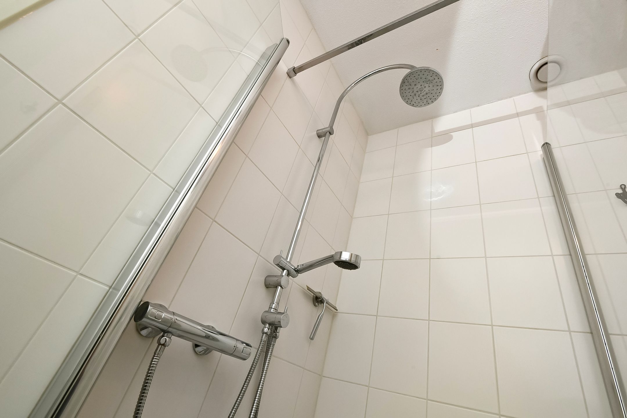 Foto 30 van Zwanenbloem 25