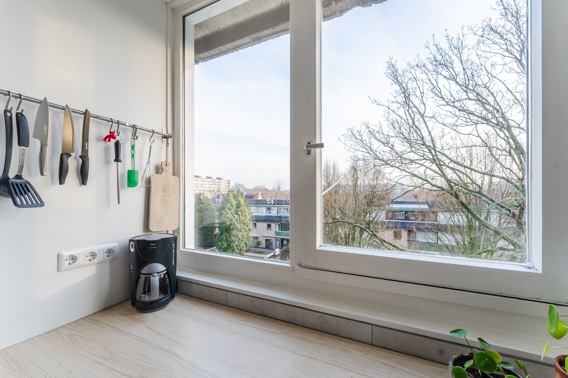 Foto 15 van Zangvogelweg 53